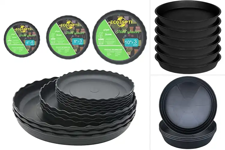 Detailed view of Best Waterproof Plant Saucers