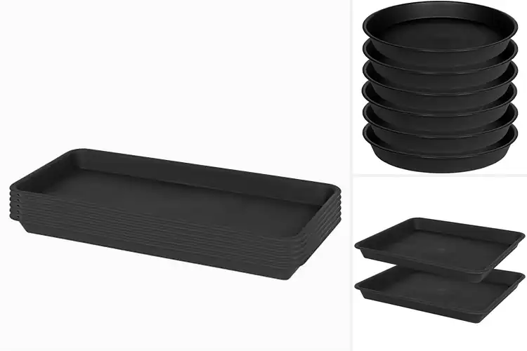 Detailed view of Best Waterproof Plant Trays: Keep Your Plants Happy & Dry
