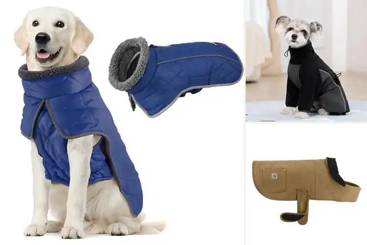 Detailed view of Best Winter Dog Coats: Top 10 Picks for Warmth & Style